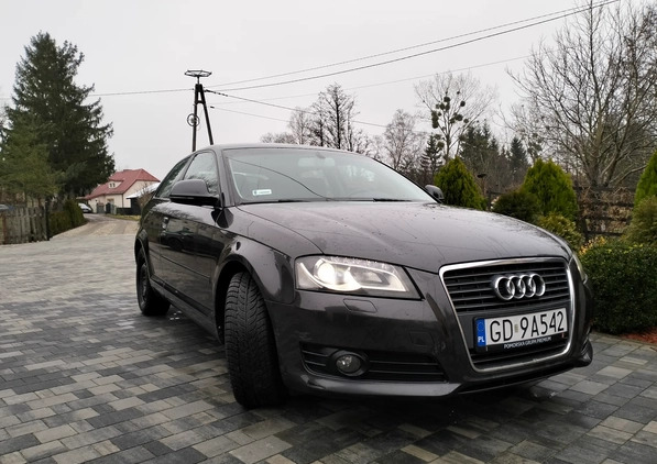 Audi A3 cena 16900 przebieg: 320000, rok produkcji 2008 z Karczew małe 466